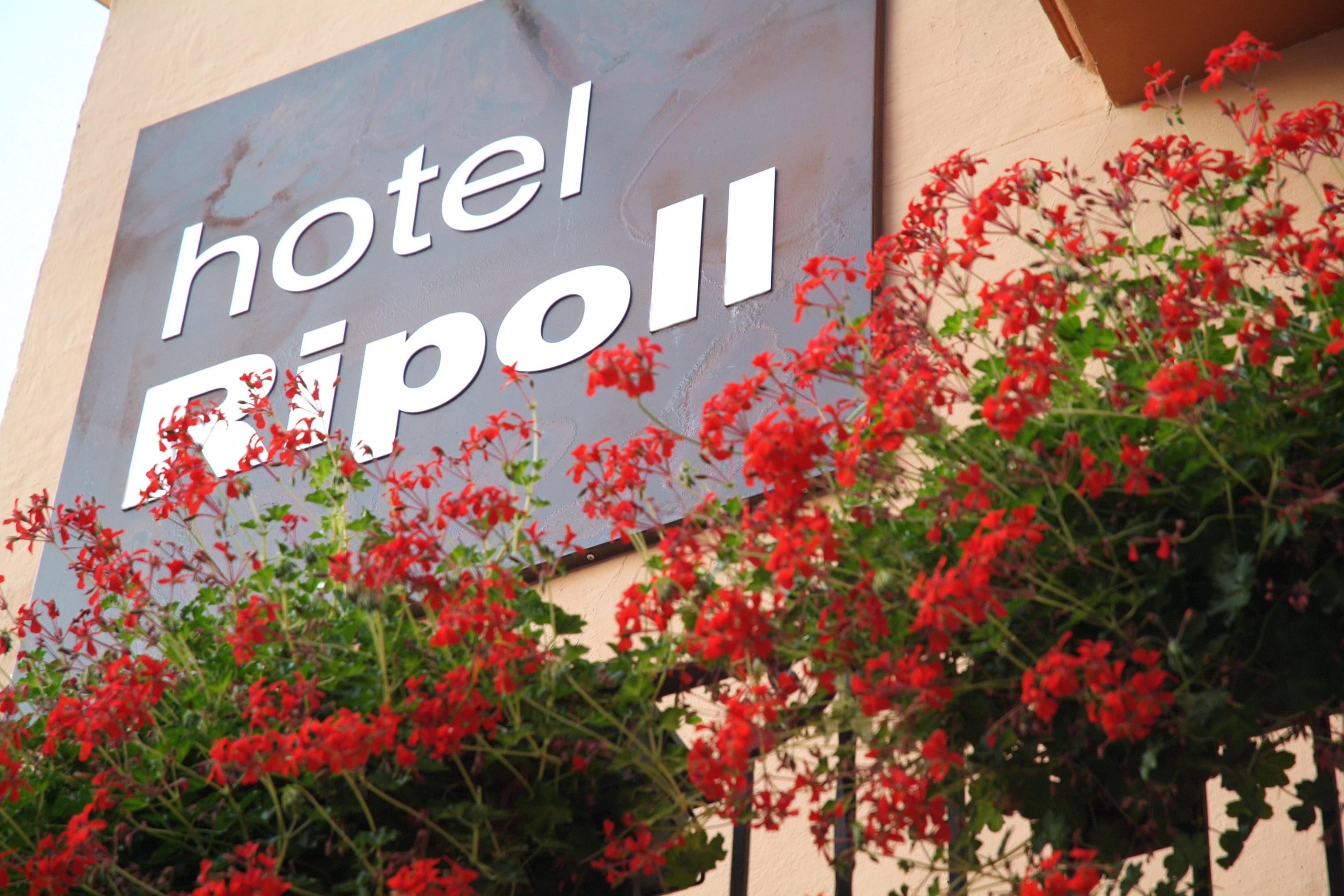 Hotel Ripoll Сант-Илари-Сакальм Экстерьер фото